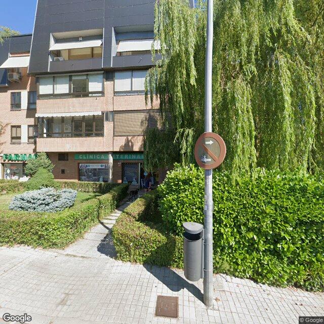 Street view near Pilar Lazaro Sancho in Rozas de Madrid, las